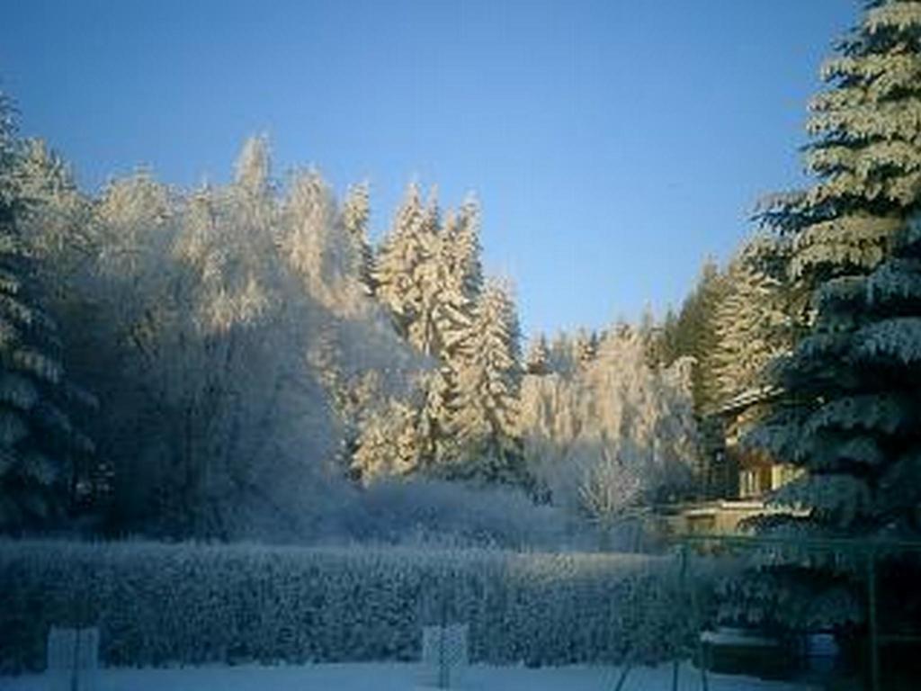 Ferienwohnung Zeidler Браунлаге Номер фото